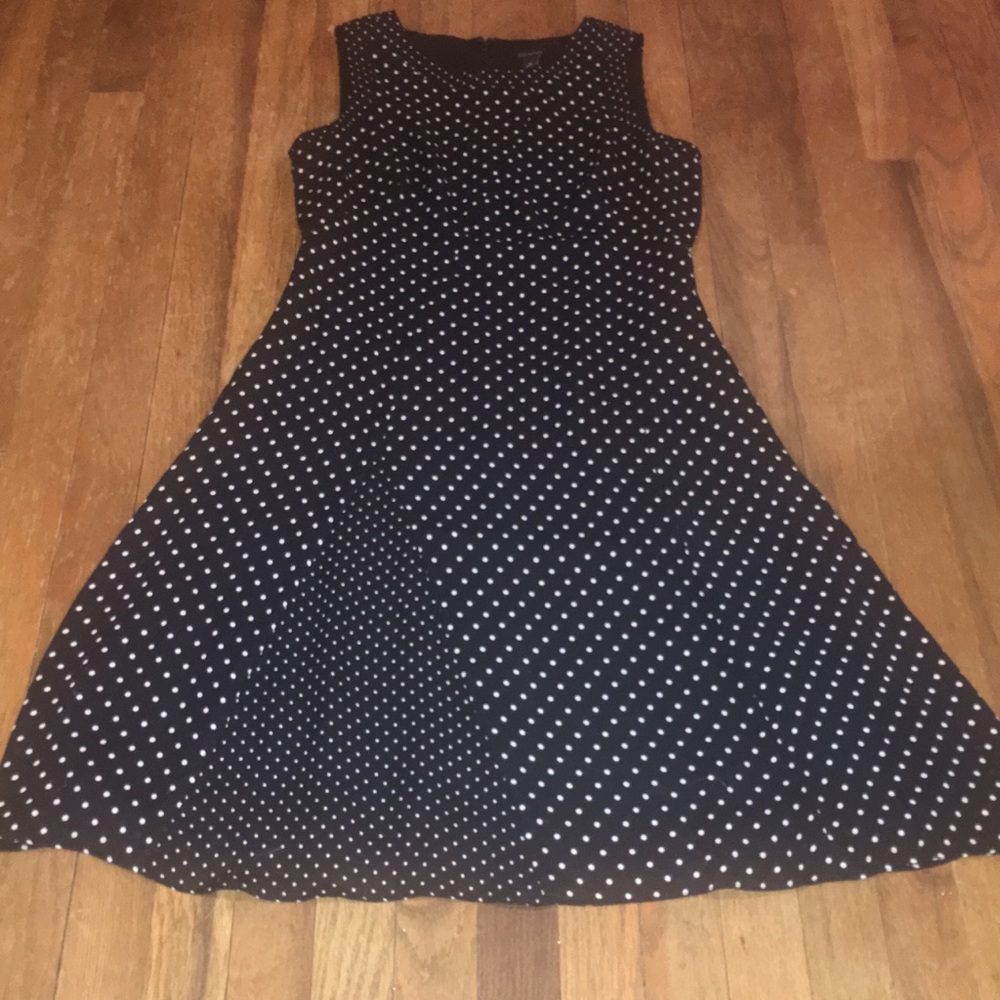 Ann Taylor Polka Dot Sleeveless A-Line Dress 6